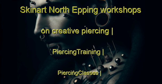 Skinart North Epping workshops on creative piercing | PiercingTraining | PiercingClasses | SkinartTraining-United States